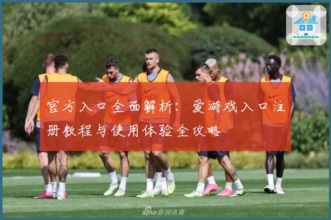 官方入口全面解析：爱游戏入口注册教程与使用体验全攻略